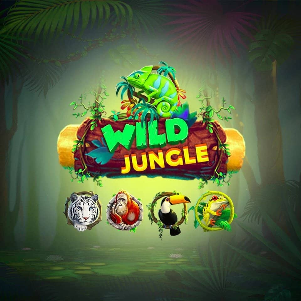 Best 360