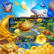 Jetix bet
