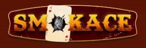 Vipspel.com