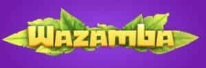 Campeao da fazenda