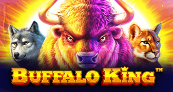 Bet365.com br